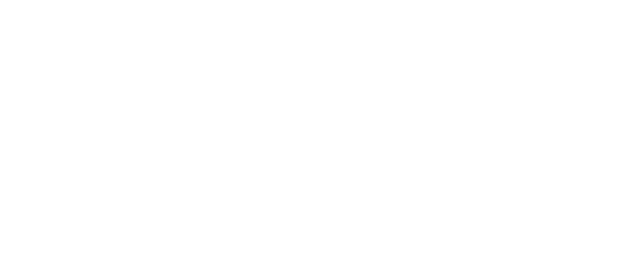 RMT Logo White